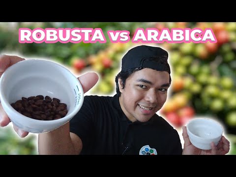 ARABICA vs ROBUSTA