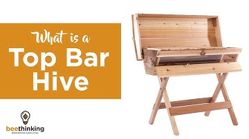 What Is a Top Bar Hive?
