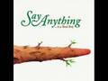 Say Anything - The Futile