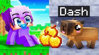 Dash trial
