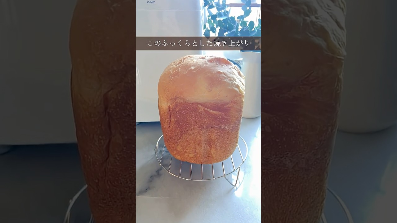 極美品　Panasonic ホームベーカリー　おうち乃が美対応モデル 極美品 Panasonic ホームベーカリー おうち乃が美対応モデル 高級「生