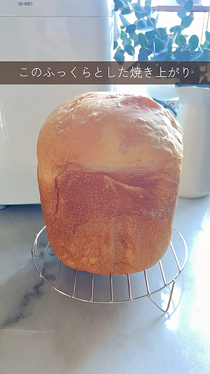 極美品　Panasonic ホームベーカリー　おうち乃が美対応モデル 極美品 Panasonic ホームベーカリー おうち乃が美対応モデル 高級「生