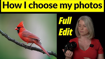 How I choose and edit my bird photos