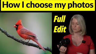 How I choose and edit my bird photos screenshot 1