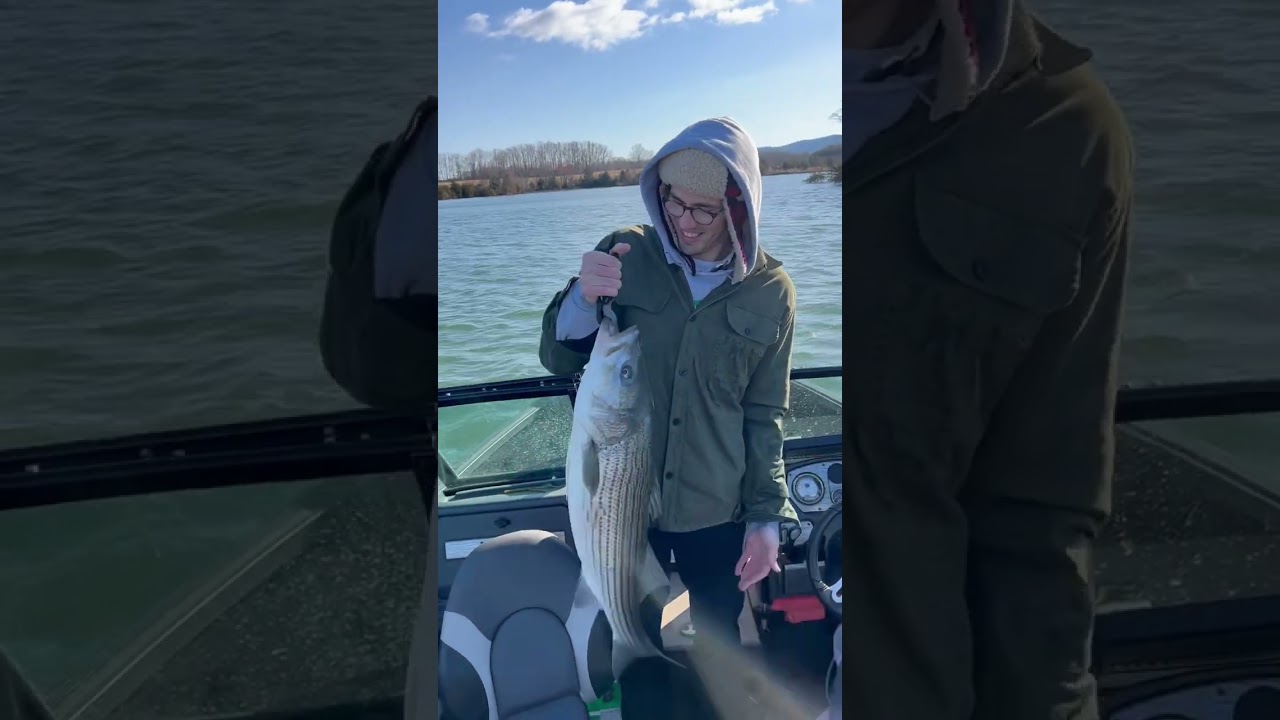 37 in striper Smith Mountain Lake man’s first striper part 2