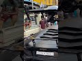 Lambo reactions