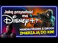 Dokd zmierzasz disney  film the mandalorian i grogu powstaje  hype train 15