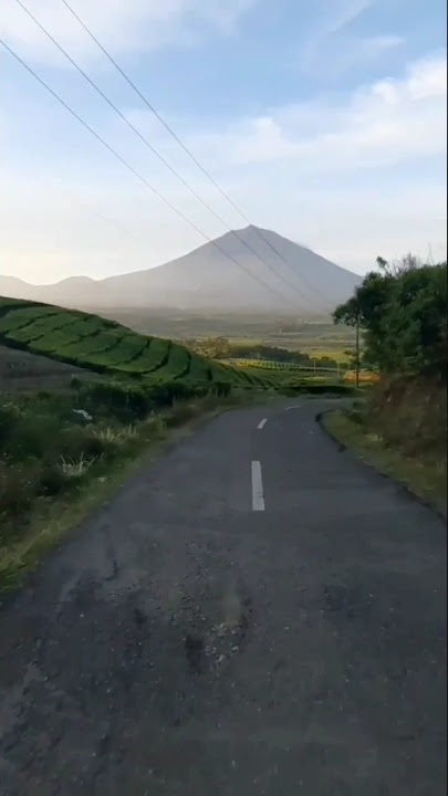 STORY WA TUKANG OJEK: TIPE X - SST...