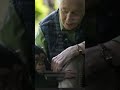 🕊️🌿 Adiós a Jane Goodall  leyenda de la naturaleza #shorts