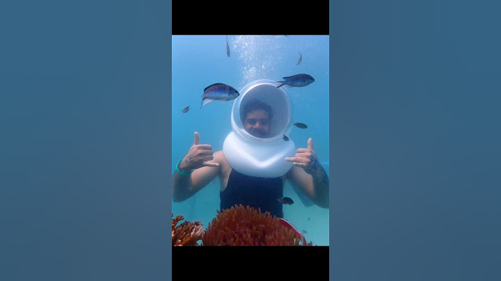 Underwater Sea Walk Pattaya Thailand 🪸🐠🐙😀
