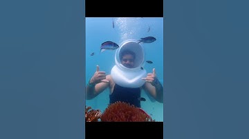 Underwater Sea Walk Pattaya Thailand 🪸🐠🐙😀