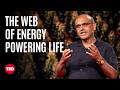 How to Measure the Planet’s Heartbeat | Yadvinder Malhi | TED