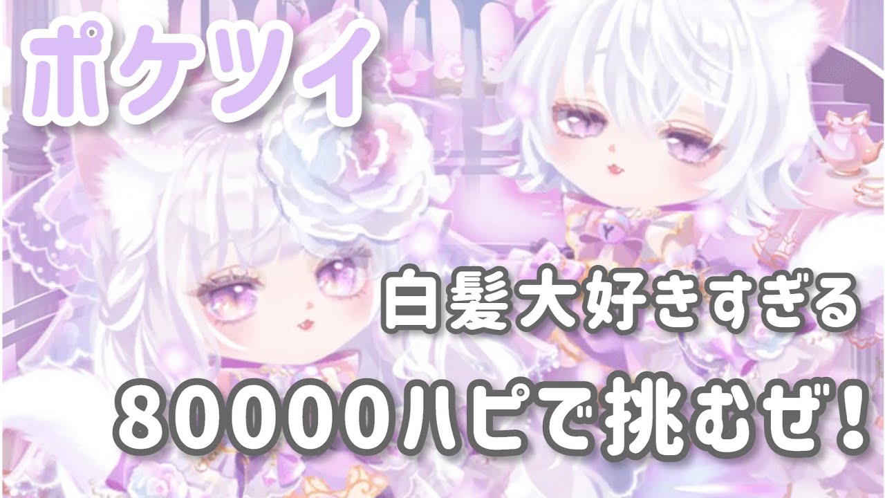 〘 ポケツイ 〙月初に4周年福袋が登場？！これは怪しいぞ😒😒