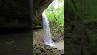 Bingham Hollow Falls - Ozark National Forest