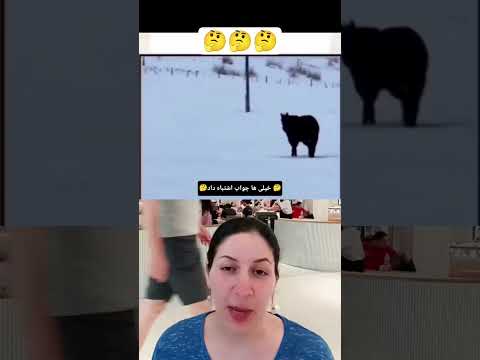 خیلی سخته ولی سعیتو بکن خندارترین کلیپ طنز کلیپ خنده دار خندارترین خندوانه خندانندهشو 