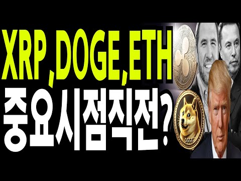 비트코인 도지코인 리플코인  🔥XRP,DOGE,ETH 중요시점 직전?🔥