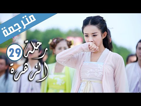 الحلقة 29 من الدراما الرومانسية رحلة الزهرة The Journey Of Flower