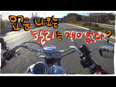 / Low <strong>Rider</strong> Harleydavidson