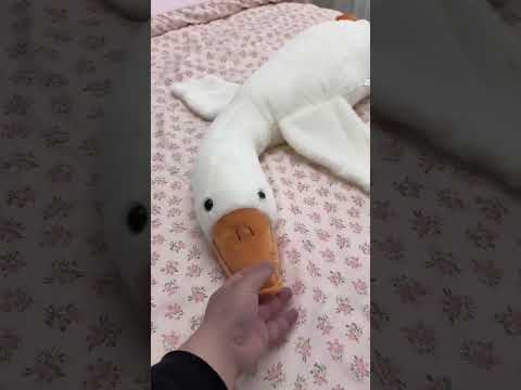 GIẢM CỰC SỐC Influencer Lớn Trắng Ngỗng Gối Sang Trọng Đồ Chơi Búp Bê Ragdoll Mua Ngay Kẻo Hết 