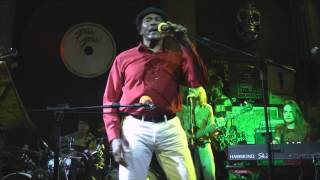 LET'S ZAPPALIN' e NAPOLEON MURPHY BROCK, Florentine Pogen de Frank Zappa.