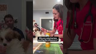 I started this account in 2020 because I was seeing the same thing over and over again: pet owners