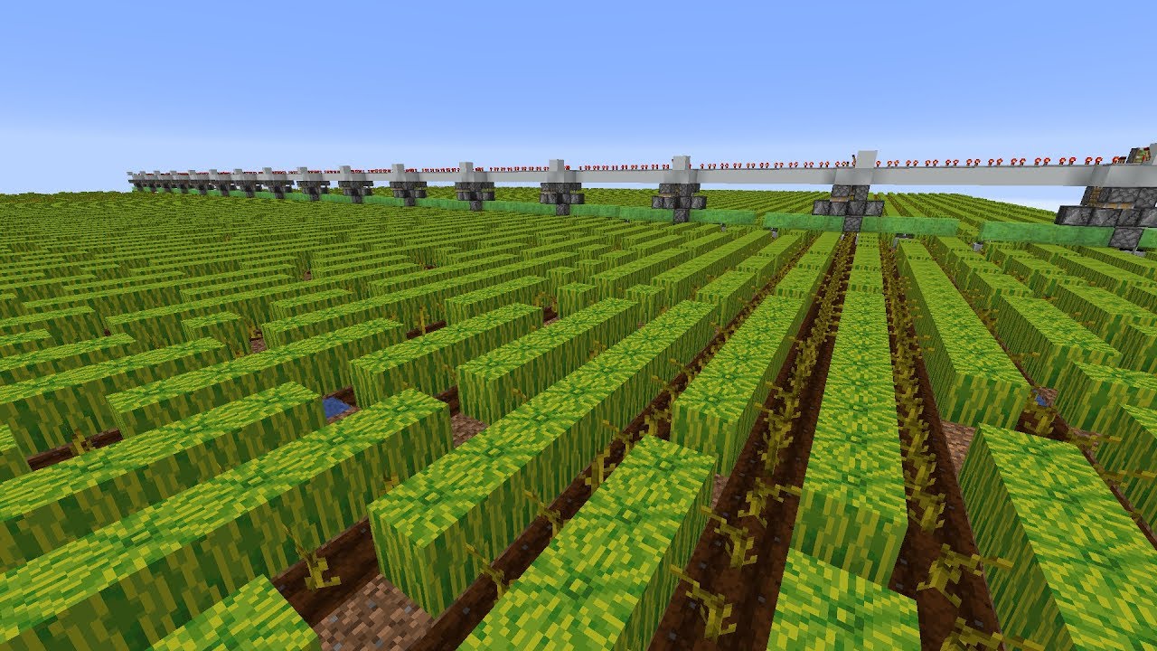Feasible Melon Based Bone Meal Farm YouTube