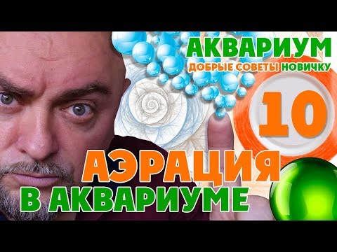 Аквариум. Добрые советы новичку. Аэрация в аквариуме.