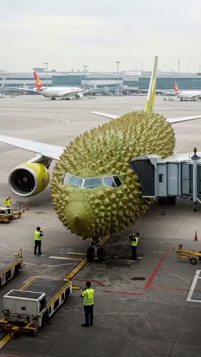 Durian International Flight! Welcome Aboard! ✈️  #monsty #plane #flight #funny