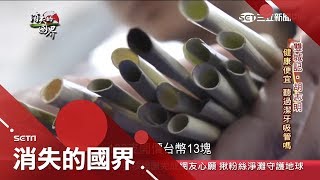 越南減少塑膠汙染！製造純天然竹子吸管好環保好存放 ...