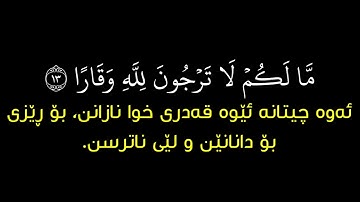 سورة نوح ادريس بكر (مَا لَكُمْ لا تَرْجُونَ لِلَّهِ وَقَارًا )  کاریگەرترین ئایەت بەبێ لۆگۆ