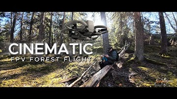 Epic FPV Forest Exploration with DJI Avata 2 – Cinematic Drone Adventure! 4K