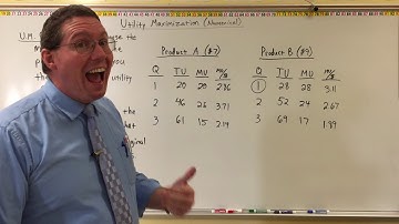 Utility Maximization Rules - Professor Ryan