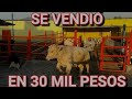 ¡¡YA VENDIMOS Y ENTREGAMOS AL SEMENTAL CHAROLAIS!!