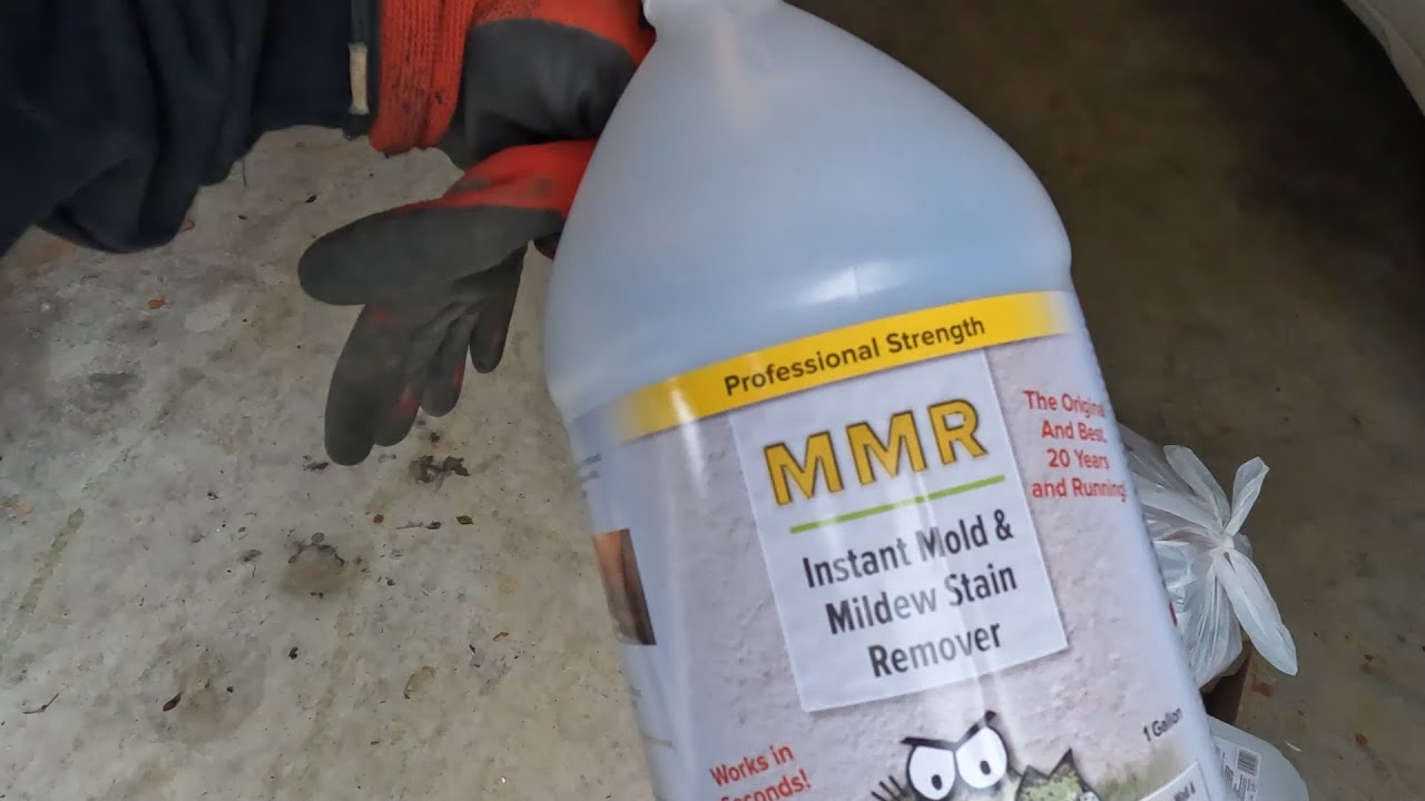 AWESOME MOLD KILLER! YouTube