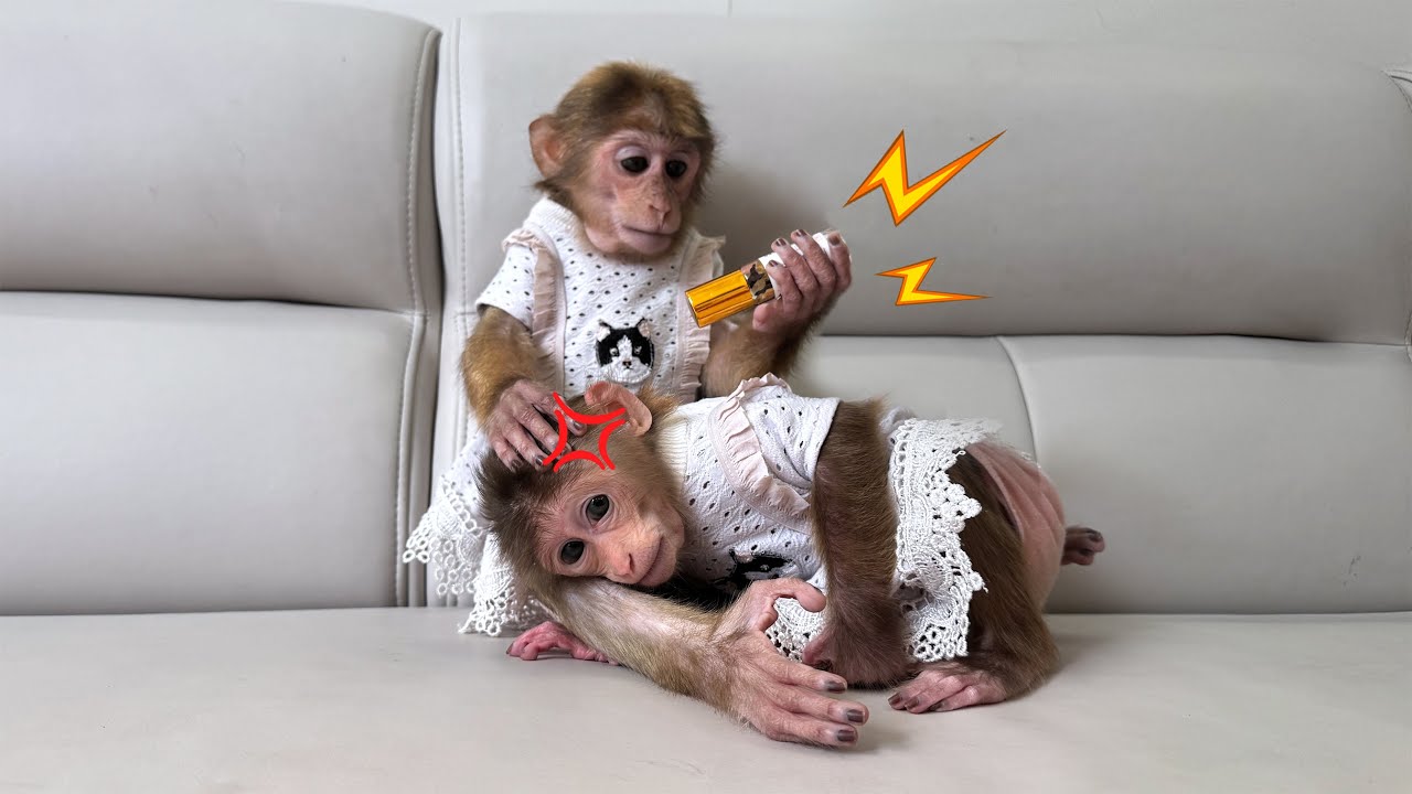 Smart Lucky Gets Pain Relief Medicine for Little Sunny!