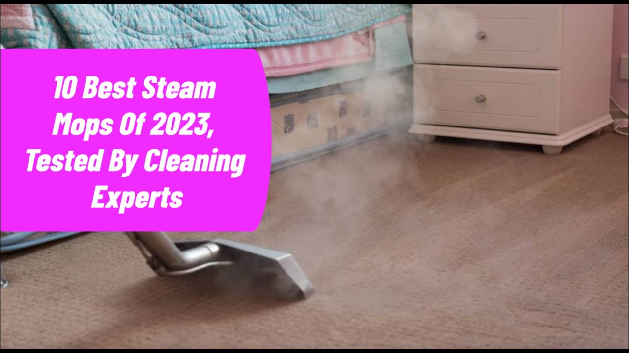 The best steam cleaners of 2023