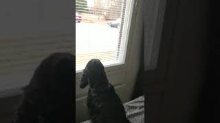 MOMS HOME