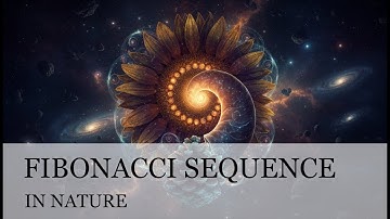 The Fibonacci Sequence: Nature