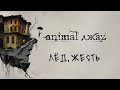 Animal ДжаZ — Лёд.жесть (Lyric Video)