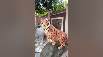 #shorts#tuongconho đắp con hổ bằng xi măng