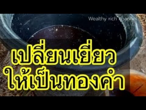 วีดีโอ: พืชชนิดใดที่ใช้ทำน้ำให้บริสุทธิ์