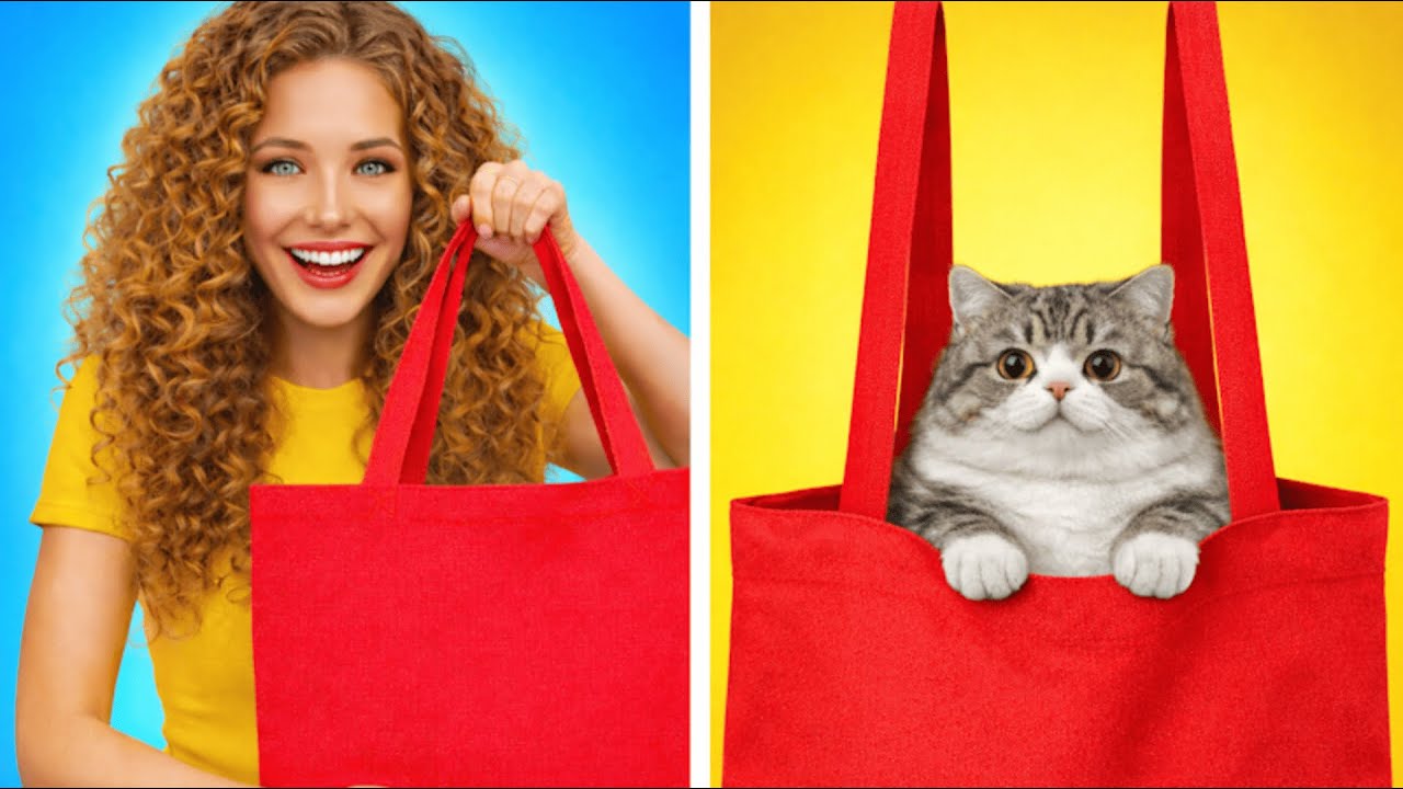 DIY Pet Challenge: От простого картона до роскошного дворца 🏠💎