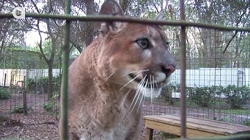 React + Expo = первое мобильное приложение