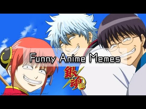 FUNNY ANIME MEMES Nothing weird here Edition  YouTube