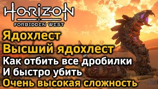 Horizon Forbidden West | Высший Ядохлест | Как отбить дробилки и быстро убить | Различные варианты
