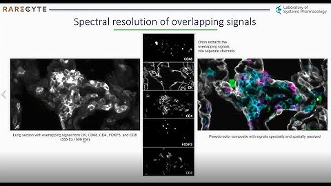 Multiplexed Tissue Imaging using the Orion Platform to Reveal the Spatial Biology of Cancer