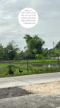 #fypviralシ #masyaallahtabarakallah #alfatihah