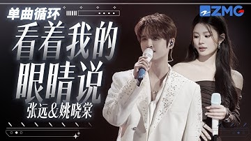 1h 单曲循环🎵张远姚晓棠《看着我的眼睛说》  「 再看着我的眼睛说 你一点都不难过 」  #天赐的声音6  20250603