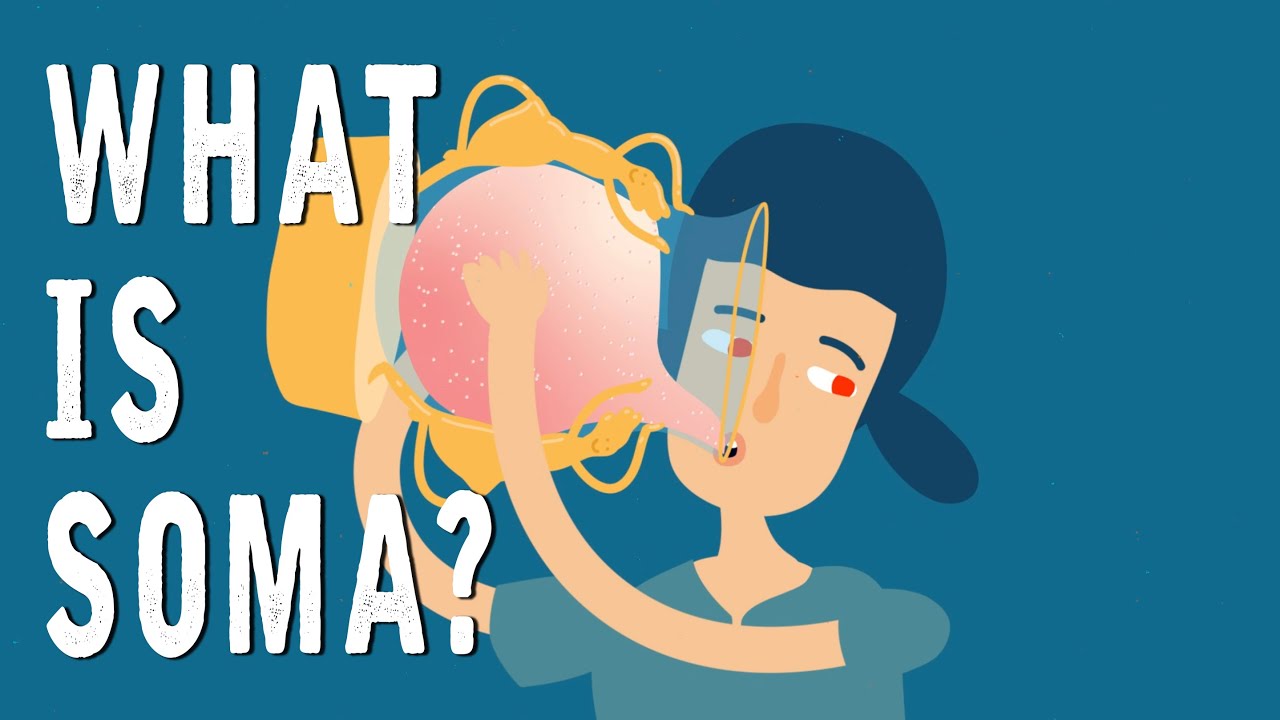 Что такое сома?