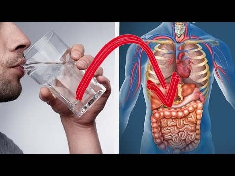 هذا ما يحدث لك عندما تشرب الماء فقط لمدة 30 يوما متواصلين 